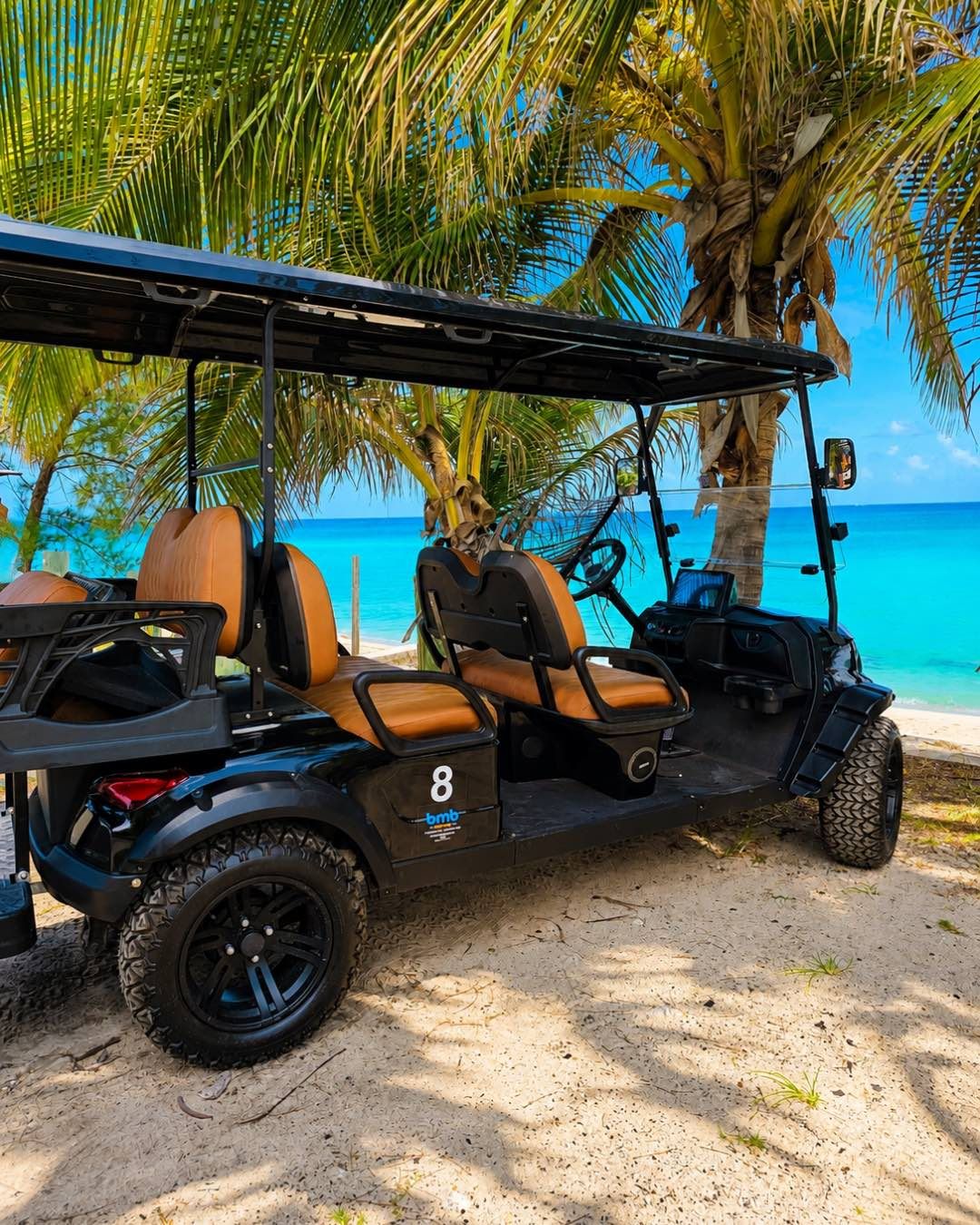 Black six-passenger golf cart with tan leather seats, parked under palms beside turquoise water.